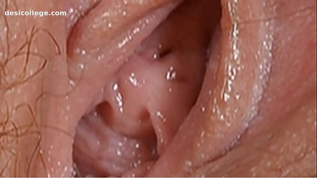 Caught Female textures - Push my pink button ( )(Vagina close up hairy sex pussy)(by rumesco)