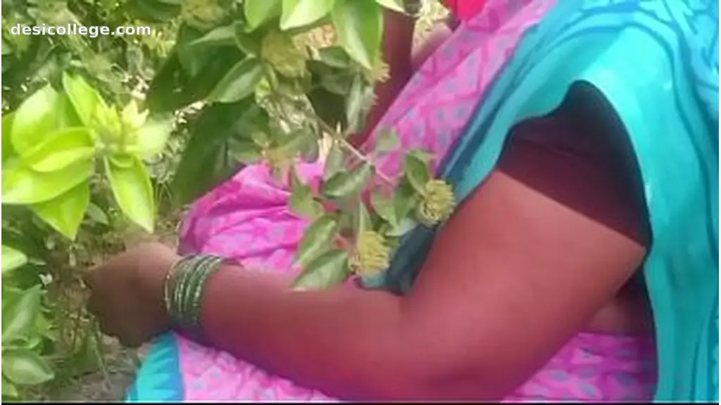Hidden Cam Indian bhabhi outdoor sex in village