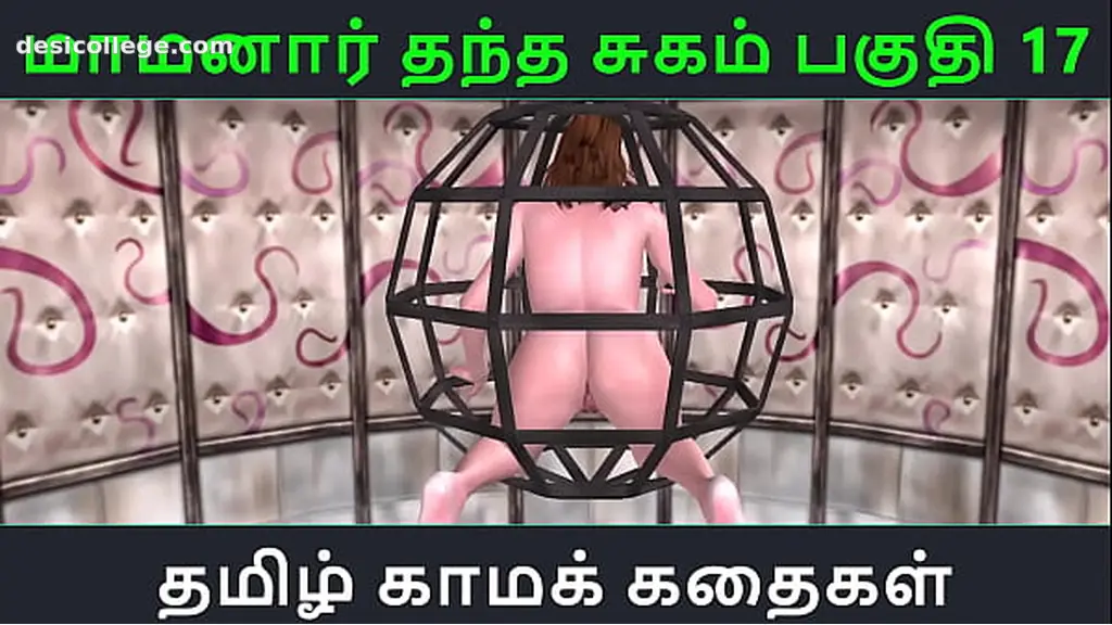 Hidden Cam Tamil Audio Sex Story - Tamil Kama kathai - Maamanaar Thantha Sugam part - 17
