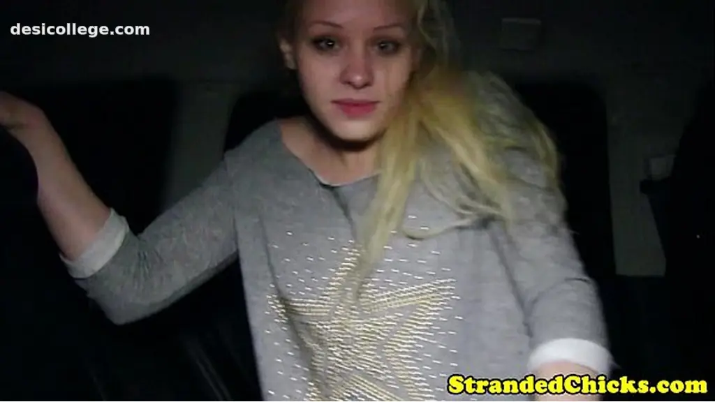 Hitchhiking brunette gets facial cumshot