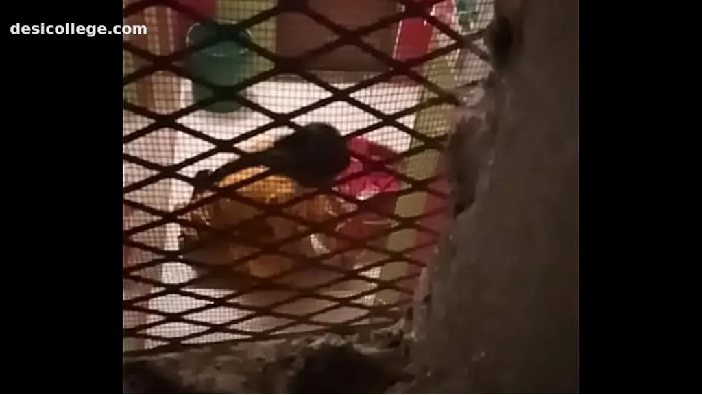 Indian Sexy Bhabi Recorded By Secretly