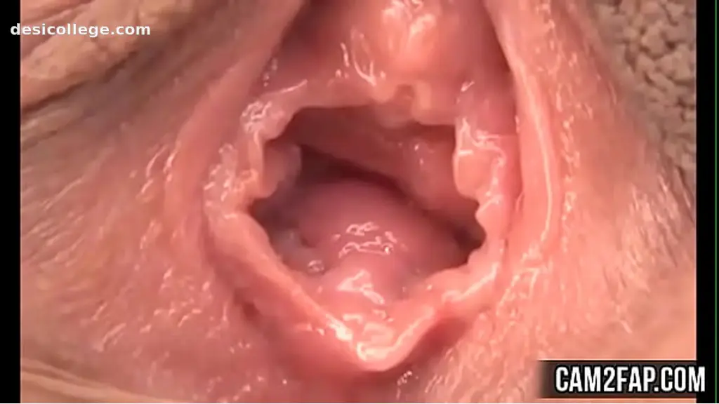 Pussy Free Asian Pussy Licking Porn Video