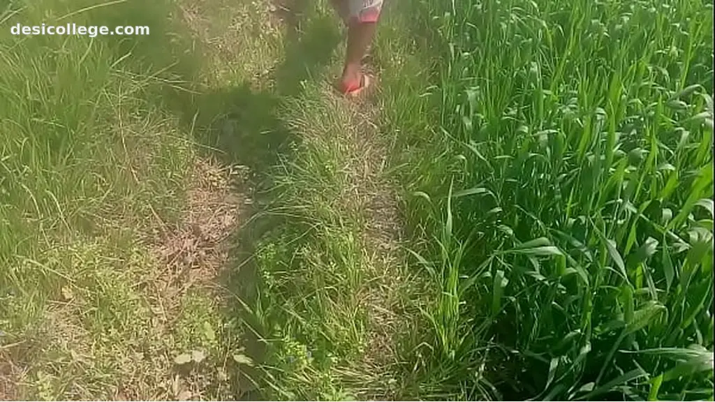 Trending Everbest Indian Desi Aunty Enjoy Sex Outdoor With Young Boy