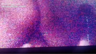 Brandi Gym Babe Hardcore Sex Private Clip
