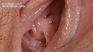 Caught Female textures - Push my pink button ( )(Vagina close up hairy sex pussy)(by rumesco)