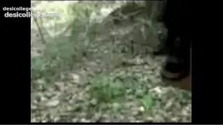 Roommate GF Juhi From Kanpur Sucking Big Lund New Viral Clip