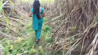 out door sugarcane field sexy married girlfriend ko choda full hard sex
