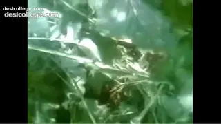Juicy Roshni Pussy Licking aur Fuck - Mallu Chechi From Trichy Gaon ki Chudai